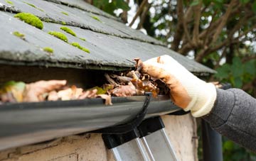 gutter cleaning Withycombe Raleigh, Devon