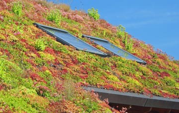 Withycombe Raleigh living roof systems