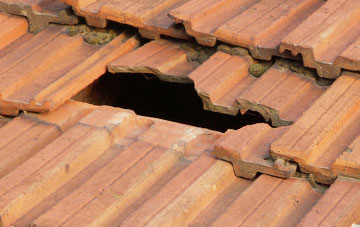 roof repair Withycombe Raleigh, Devon